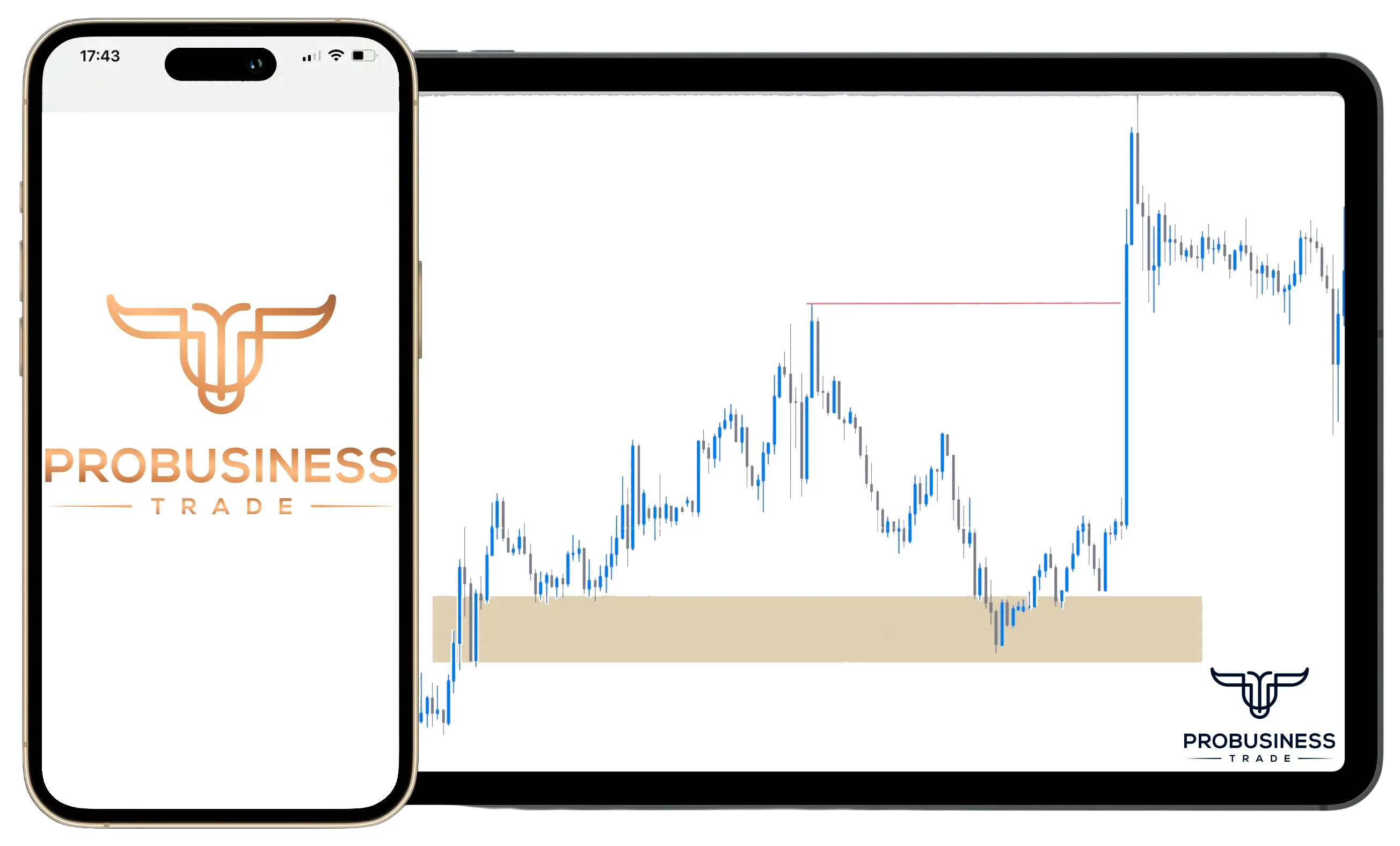 Curso de trading